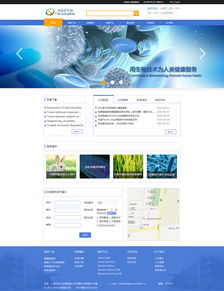 網(wǎng)頁(yè)設(shè)計(jì) 打造用戶(hù)體驗(yàn)至上的Web頁(yè)面